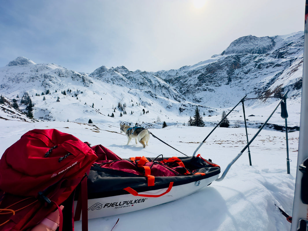 From Baby Elephant to Featherlight: My Fjellpulken Story