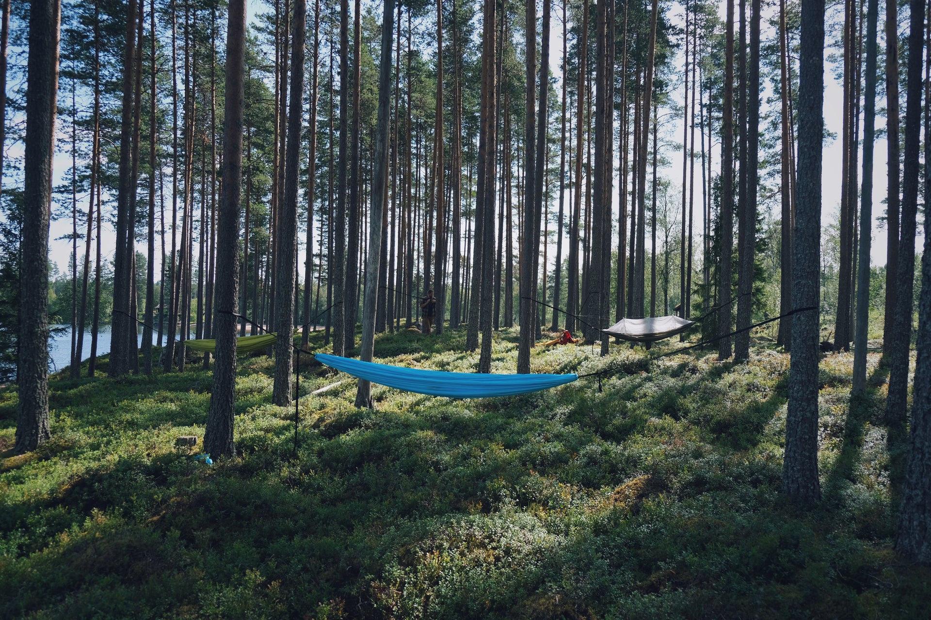 Leaf hengekøye dobbel (autumn orange)