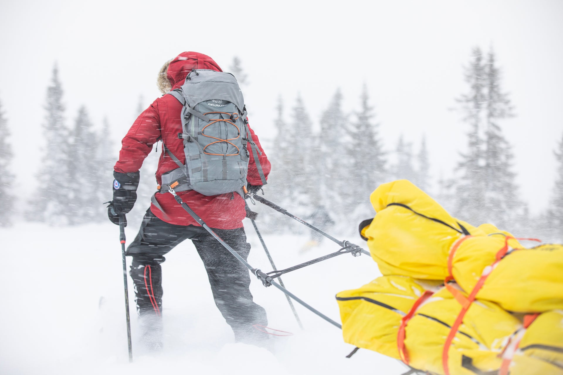 Harness Pack 35 L grå