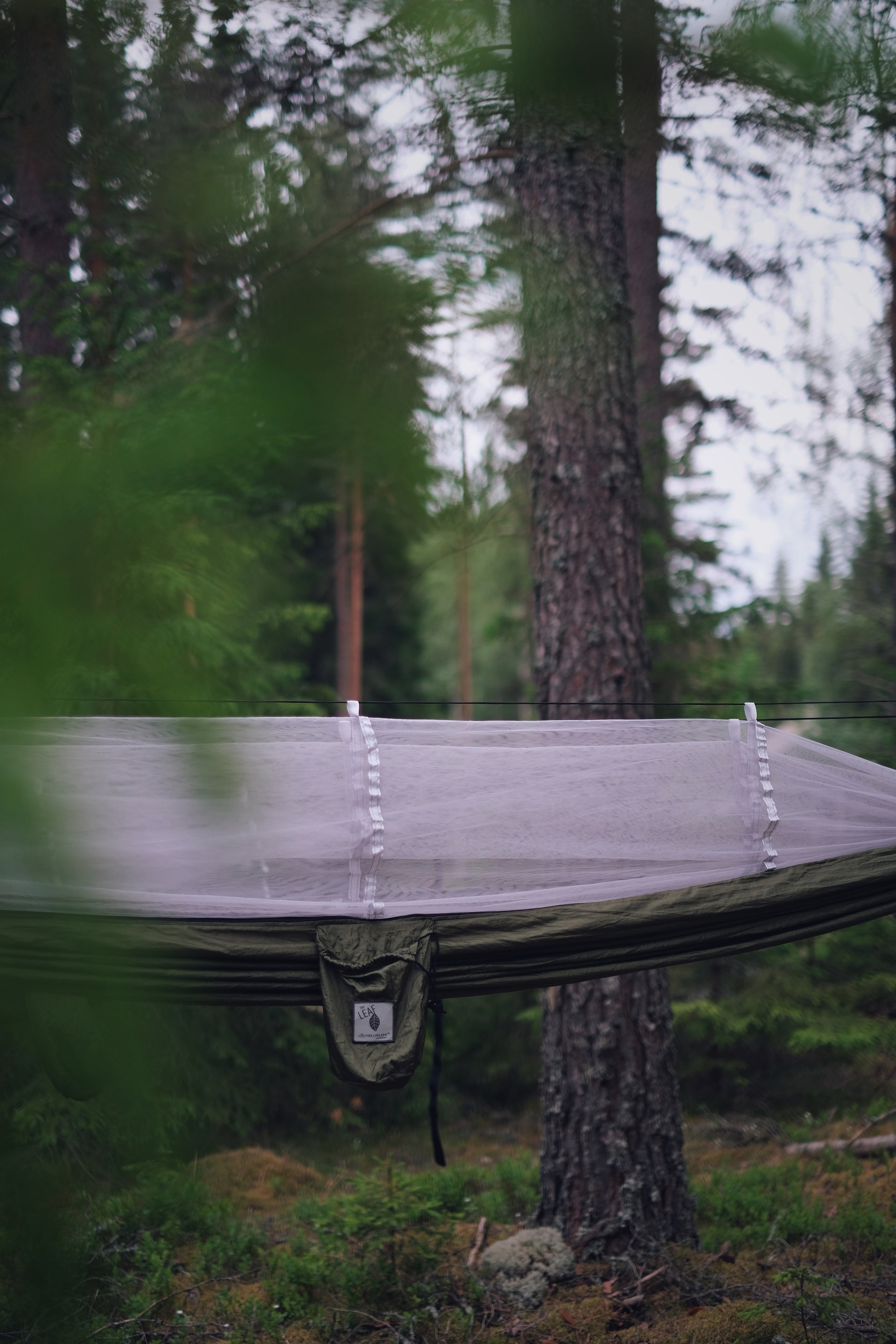 Leaf hengekøye enkel med nett (olive green)