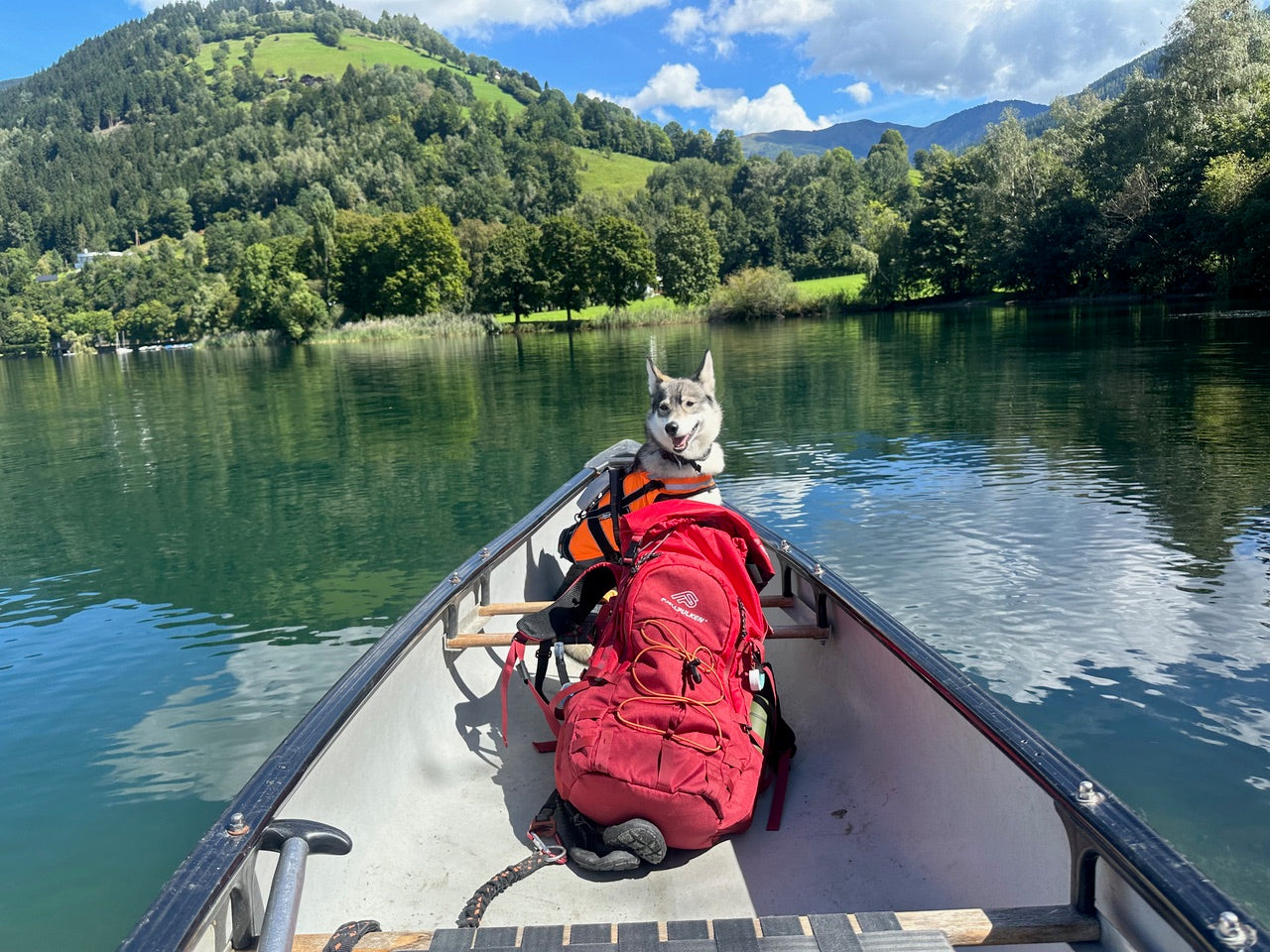 Harness Pack 35 L Rød
