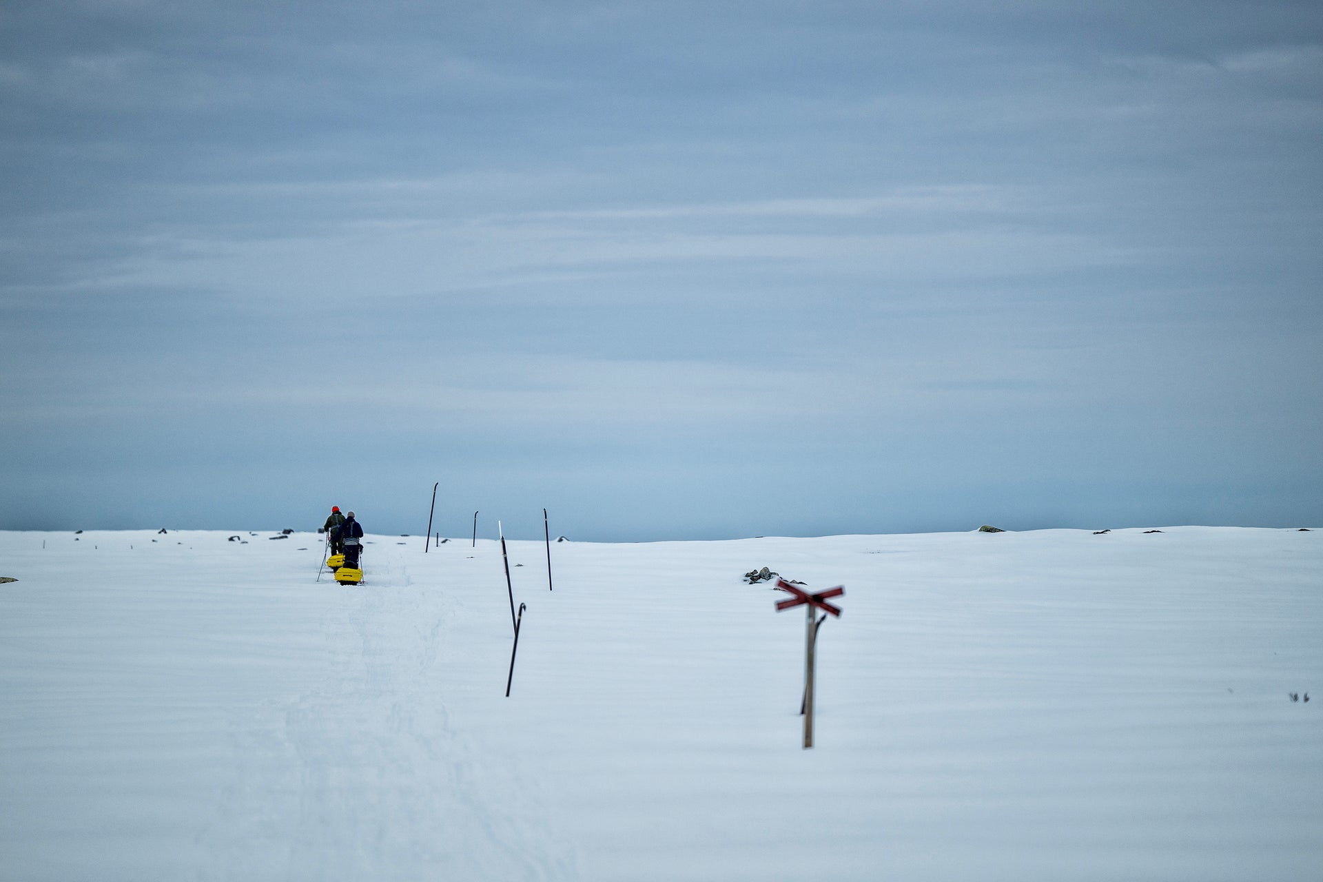 Transporter 155 m/drag, sele og packbag 155liter